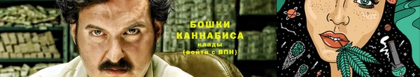 мдпв Бронницы