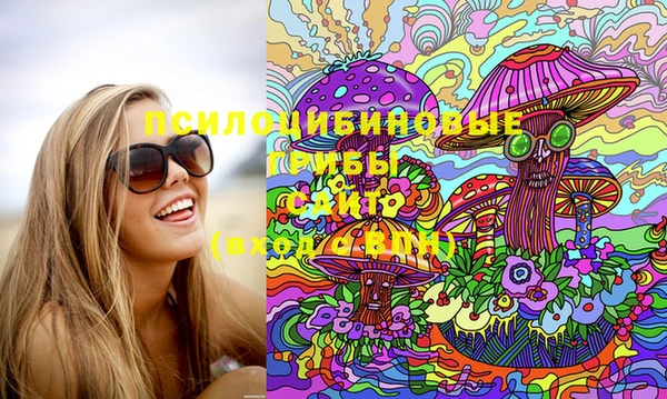 мдпв Бронницы