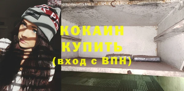 мдпв Бронницы