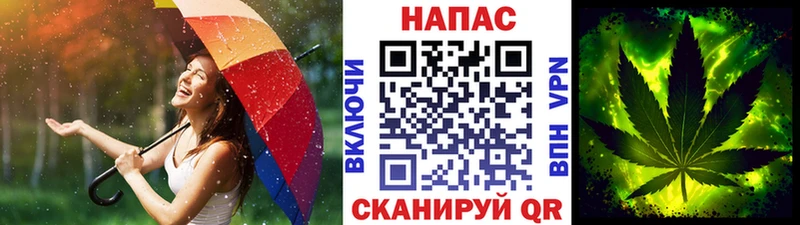 где найти наркотики  Выборг  МАРИХУАНА SATIVA & INDICA 